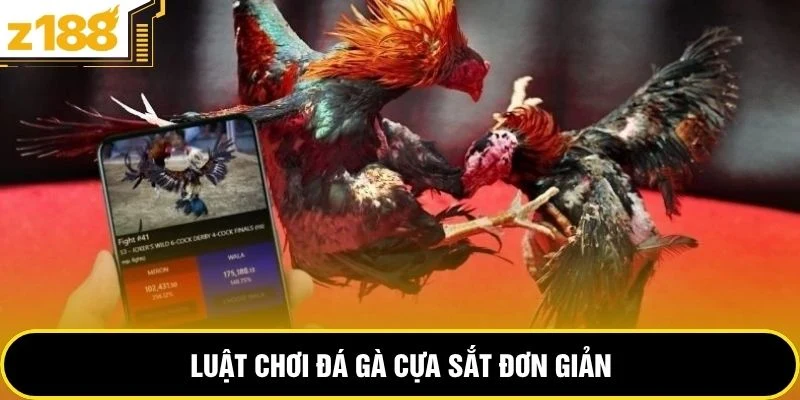 Luật chơi đá gà cựa sắt đơn giản 
