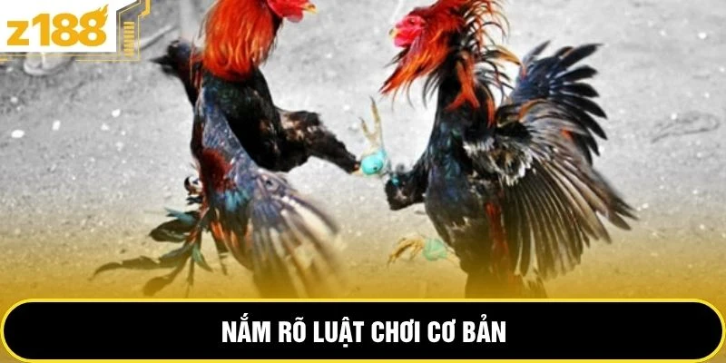 Nắm rõ luật chơi cơ bản 